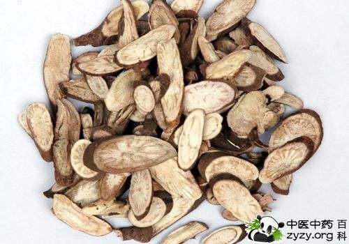 vị thuốc xích thược